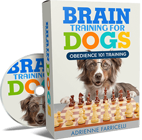 Obedience 101 Training &mdash; Brain Training For Dogs bonus